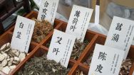 【外籍专家西安行 ?】“望闻问切”解码东方智慧  十国外籍专家雁塔共探中医魅力